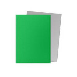 Dragon Shield Matte Dual - Apple Green & Silver