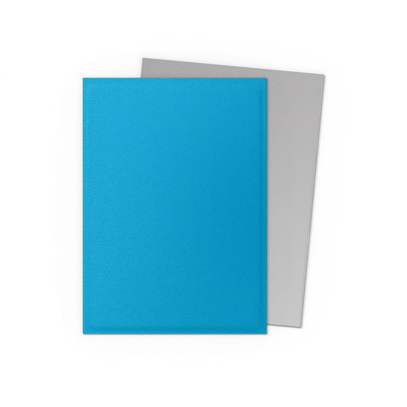 Dragon Shield Matte Dual - Sky Blue & Silver