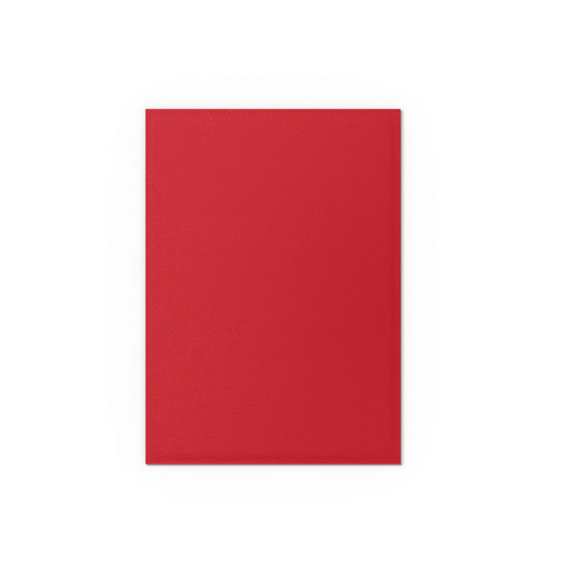 Dragon Shield Matte Dual - Crimson & Silver