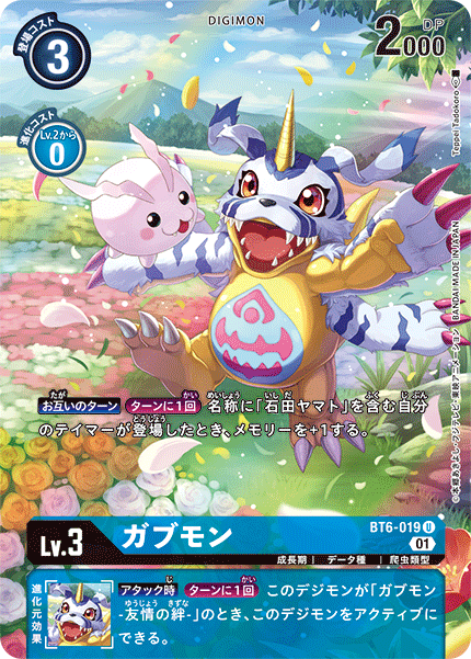 BT6-019-P