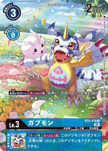 BT6-019-P