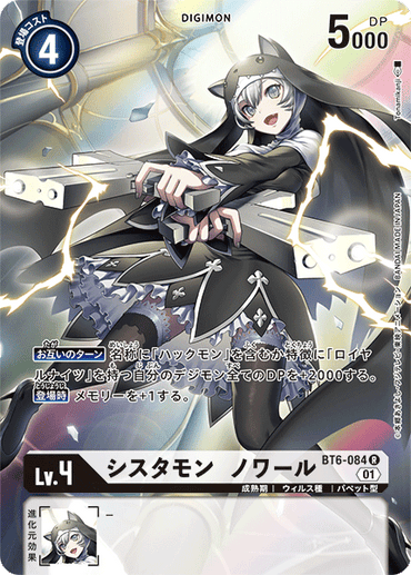 BT6-084-P