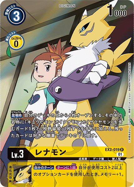 EX2-019-P