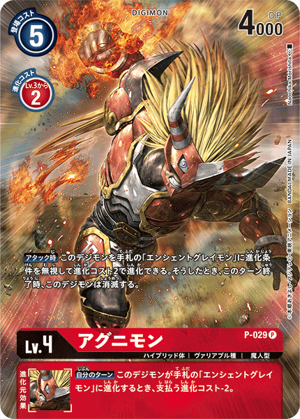 P-029_P1